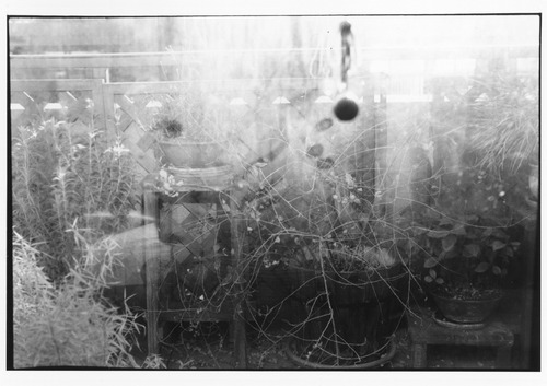 大野まどか  / わたしの眼のせい