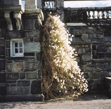 大野円雅 / 夢の中の冬、窓の外の夢